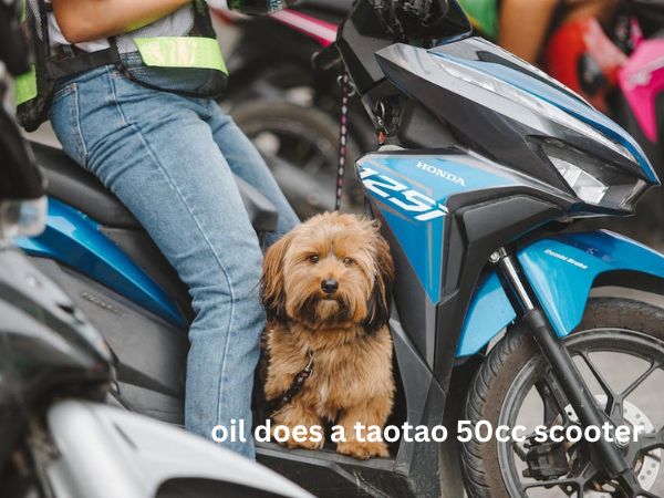 what kind of oil does a taotao 50cc scooter take?