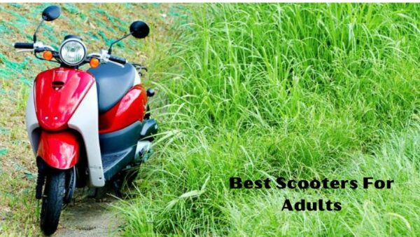 best scooters for Adults
